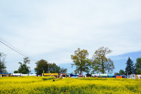 メイン会場には屋台もある