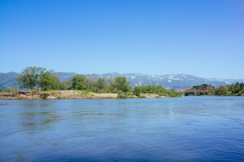 飯山の菜の花祭り