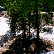 残雪ががっつりある龍ヶ窪