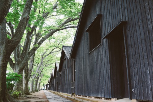 裏側は有名なケヤキ並木