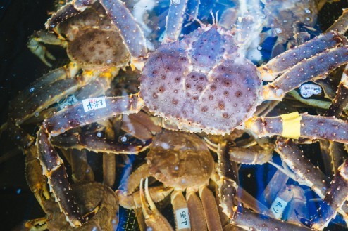 木村とかまりとか・・。