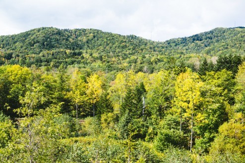 山のなかにある