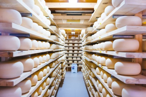 チーズの工房もみることができる