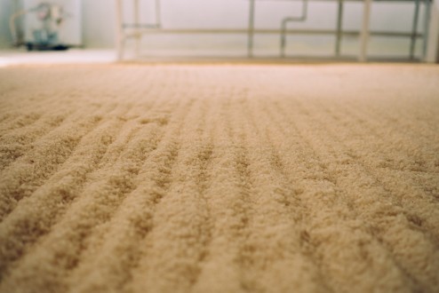 「失われゆくもの。