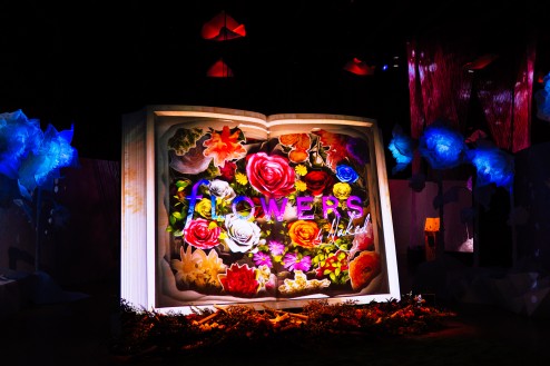 BIG BOOK, BIG FLOWERS