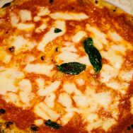 マルゲリータ、ふつうのやつ