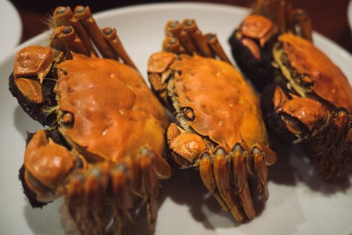 上海蟹の季節は頼むべし