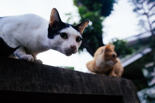 Phranakorn-Nornlen Boutique Hotel