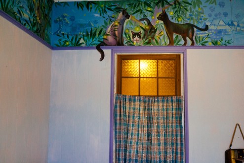 猫があちこちにいる部屋