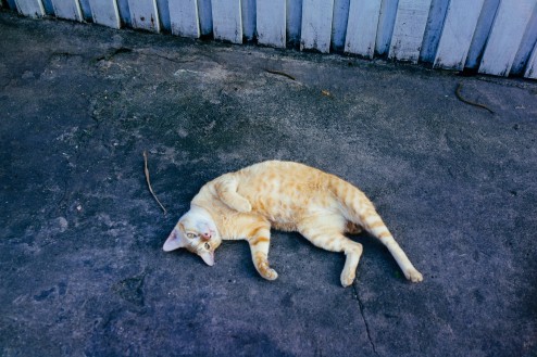 バンコクの下町