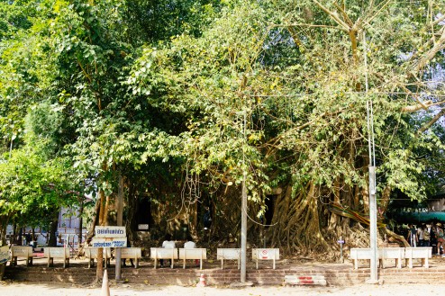 船で寺をみにいく