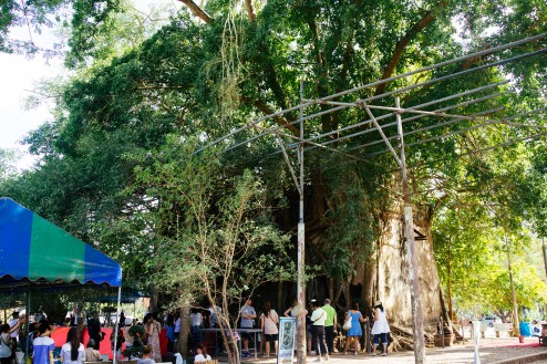 船で寺をみにいく