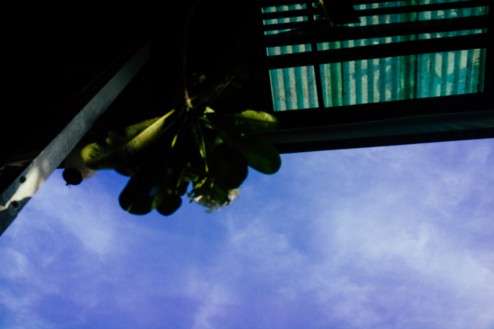 だらだら過ごす