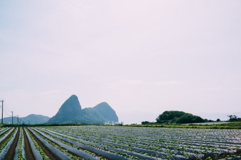 リオデジャネイロのポン ヂ アスーカルっぽい風景