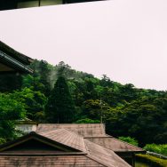 窓からの風景、ソフトバンクの携帯電波も入らないし、のんびりしたものだ