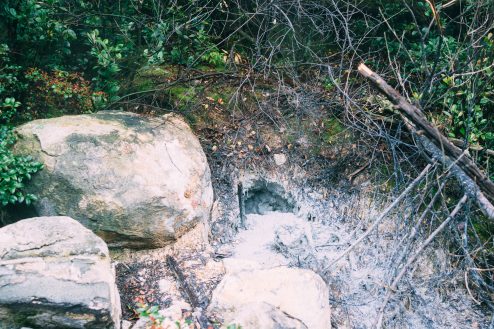 本当にあちこちから温泉が湧いている