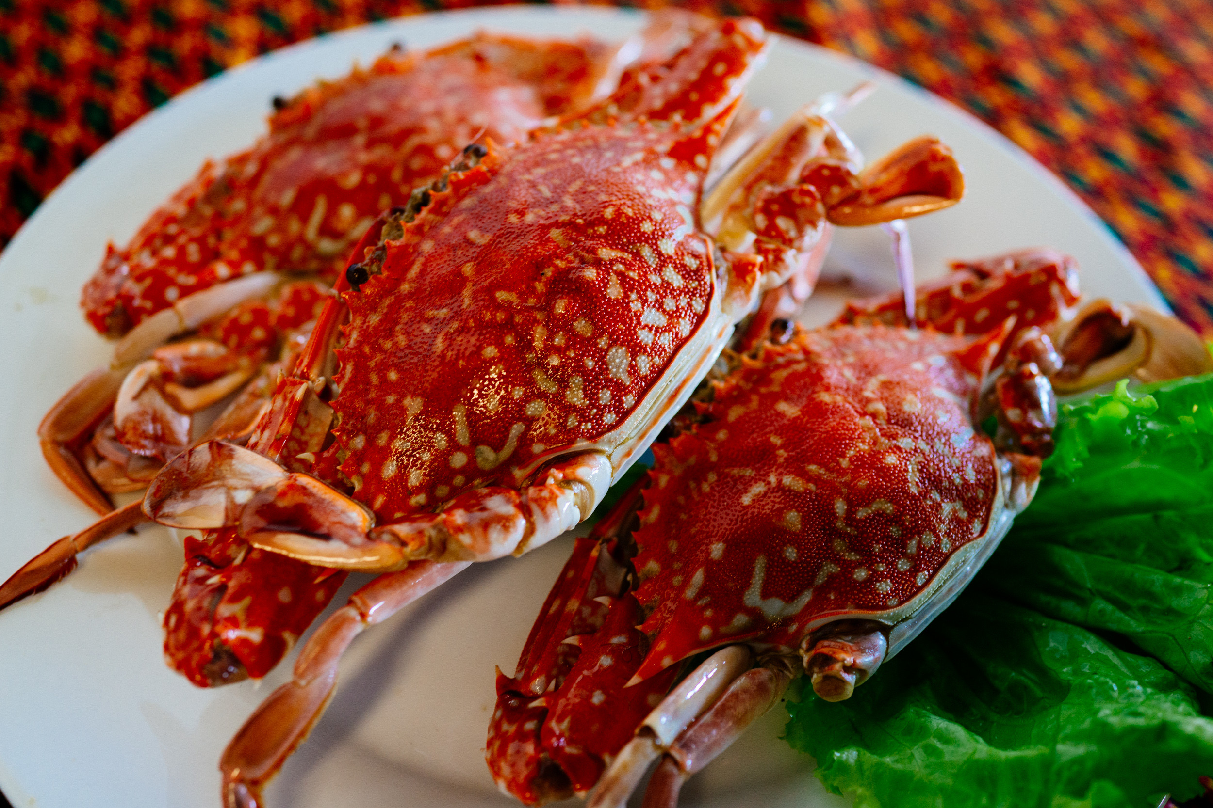 カンボジアまで蟹を食べに行ってきた。